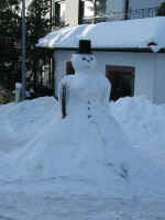 Winter-01.jpg (41618 Byte)