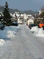 Winter-03.jpg (57001 Byte)