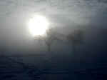 Winter-08.jpg (19034 Byte)