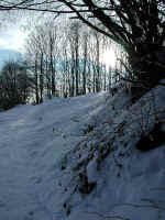 Winter-10.jpg (79911 Byte)