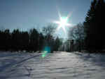 Winter-12.jpg (36859 Byte)