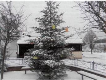 Darsberger Weihnachtsmarkt 2025