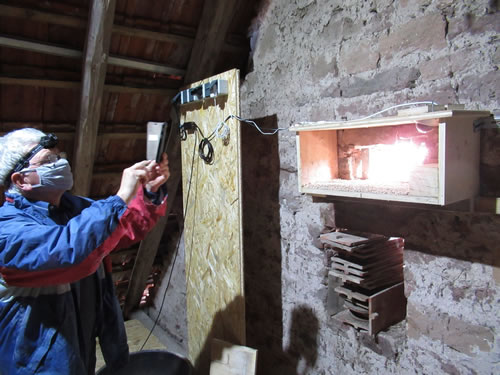 Reinigung Brutkasten 2021